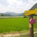 도치할머니경로당 이미지