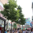 근대로의여행 골목투어3코스 이미지