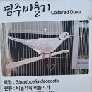 인천대공원(어린이동물원) 이미지