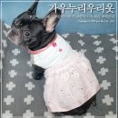 가우누리협동조합 | 애견의류 강아지옷 한복 제작 가우누리우리옷