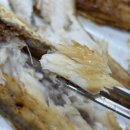 6849 | 구미 산동 맛집 삼천포생선구이 방문 후기｜모듬구이 2인 솔직후기