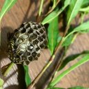 숙이농장 이미지