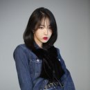 데이케어헤어