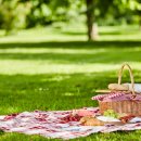 소풍가는 날 이미지