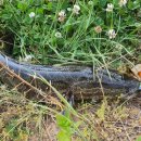 만식이네 이미지