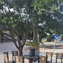 현수농장 | [고창] 현수네 가정식 뷔페