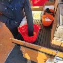 장비농장 | ​[제주/서귀포] 아이와 가볼만한곳 '쉼터체험농장' 귤따기 체험! 네이버 예약 무료 꿀팁 &amp; 인생귤 후기 🍊