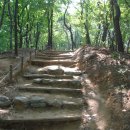 정발산공원 산책로 입구 이미지