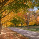 다비치안경 구리교문점 이미지