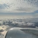 제주도씨