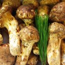 마누라식당 이미지