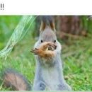 네일로와 이미지