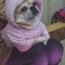 빨리와