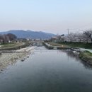 2024 새봄콘서트 이미지