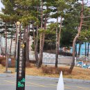 맹동면사무소 이미지