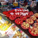 인사나들이 | 광주 상무금요시장 장날 구경 먹거리 가득한 전통시장 나들이 후기