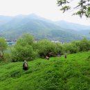 위례사랑길 이미지