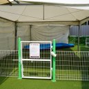 댕글라이프 이미지