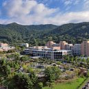 전남대학교 면역치료혁신센터 이미지