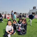 세인트메리주니어 이미지