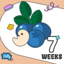 춘댕 | 15. 7-8주차, 심장소리 확인, 더 심해진 입덧