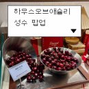 더채운하우스 | 하우스 오브 애슐리 디저트뮤지엄 성수 팝업 내돈내산 후기