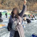 화천군 산천어양식장 | 화천 산천어 축제 후기 잡긴 했는데 진짜 적어져 실망