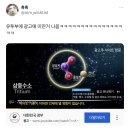 유튜브에 뜬 대한민국 광고 이미지