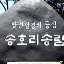 송호리 국민 관광지 전국대회(영남방 위주) 이미지