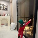 사무실용 건축물, 강군횟집 | 9개월 아기와 함께하는 제주 여행 1탄(신상숙소 해비움 후기 포함)