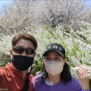 원적산공원 이미지