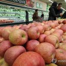 수품 이미지