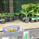 대명농자재 이미지