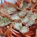 진희식당 이미지