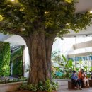 푸른정원 이미지