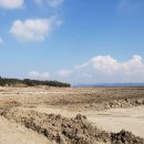 휴암태양광발전소 이미지