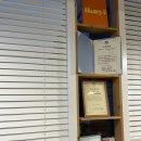 샤론 | 성동구 성수 일식 맛집 샤론 후기