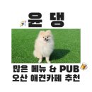 UR(오산시)-[수목원로]-상-21 | [오산] 오산대역 애견동반 루프탑 카페 : 윤댕