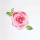 배우기 쉬운 그림 캘리그라피 이미지