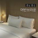 홍성모텔 | 홍성 어반브라운 컨디션 최상 신축 숙소 내돈내산