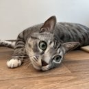 하랑민박 이미지