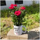 준도농수산 이미지