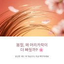 봄철 나의 두피 및 피부관리법 | 봄철 탈모 증가 이유 – 계절이 바뀌면 머리카락이 더 빠지는 이유