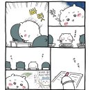 합격뽑기 이미지