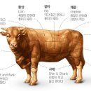 한우 이미지