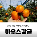 굴암농장 티스토리