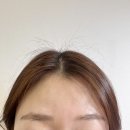 쩡앤샵