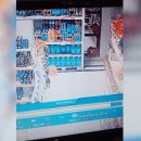 편의점에서 누가 먹고튄듯한 탄산음료가 있어서 cctv를 돌려봤더니..gif 이미지