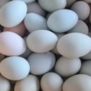 청계농장 이미지