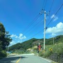 지리산오도재관광농원 | 별이 쏟아지는 합천 오도산 관광농원 캠핑장